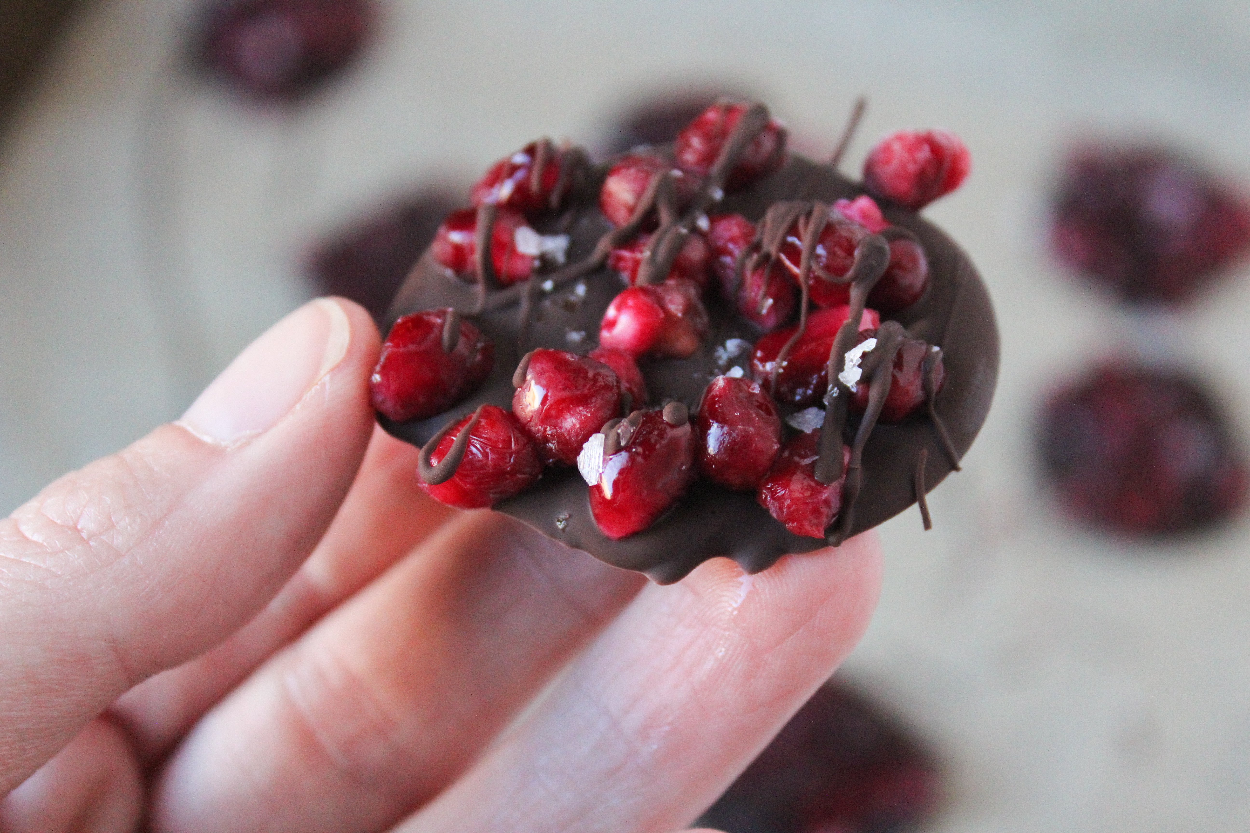 Pomegranates coated in dark chocolate 